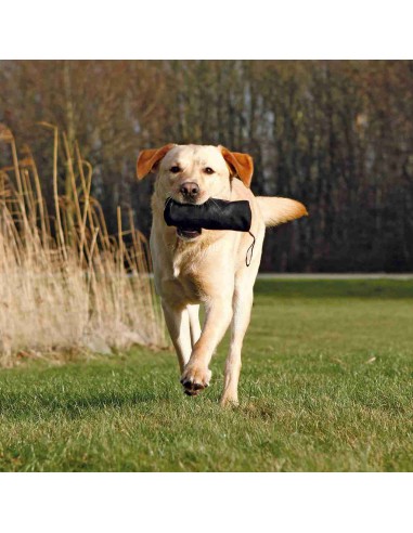 Mordedor Entrenamiento para perro de poliéster