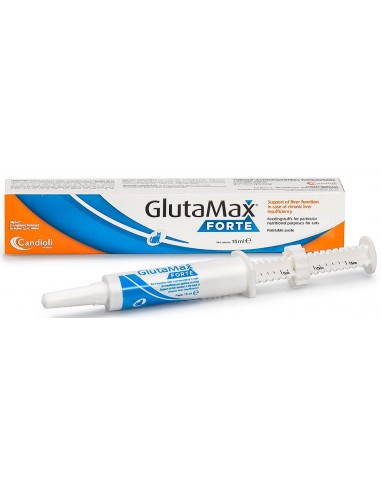 GlutaMax Forte pasta
