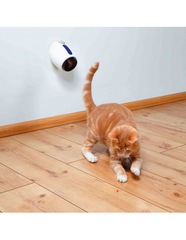 laser de juego para gato