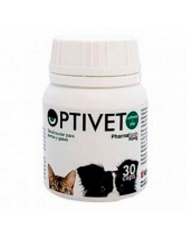 Optivet patologías ojo perro