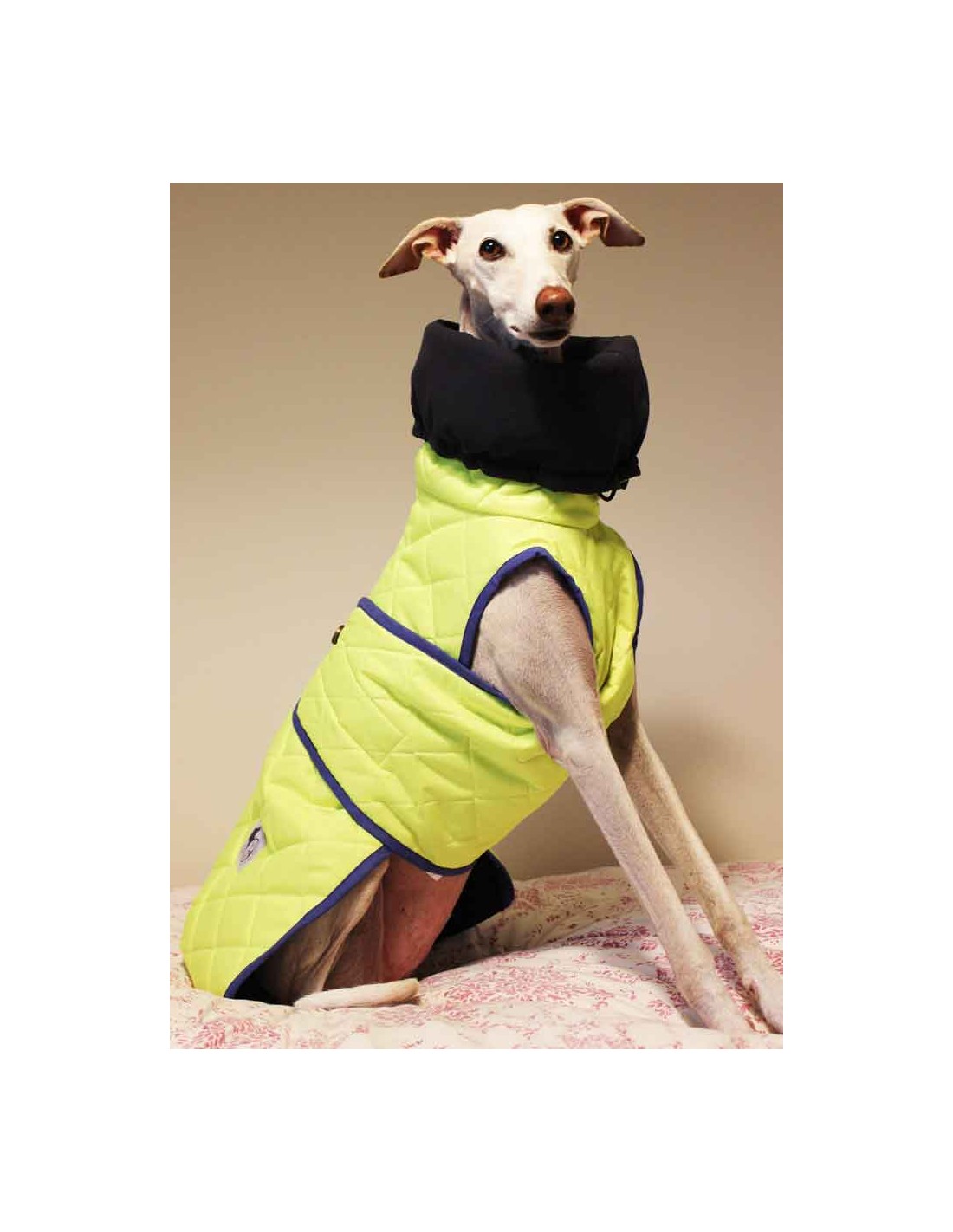 abrigo para galgo de alta visibilidad, para perro visible en la noche, impermeable galgo