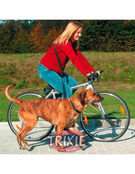 Ramal para pasear en bici con su perro