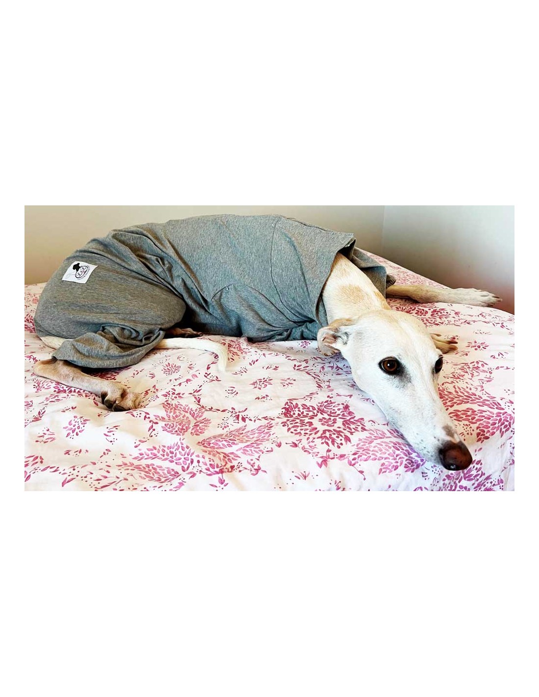 Pijama quirúrgico perros, camiseta protectora para operados, quirúrgica para perros