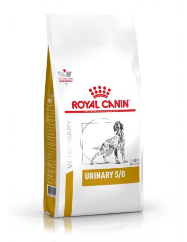 Pienso para perros, ROYAL CANIN Urinary S/O