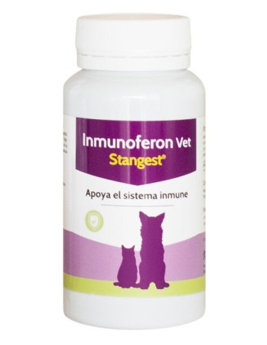 Inmunoferon Vet, Stangest