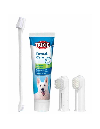 set-higiene-dental-perro