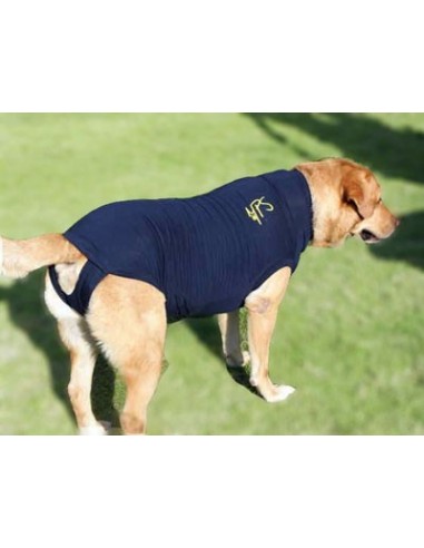 camiseta protectora para perros operados, camiseta quirúrgica para perros,  camiseta protectora para galgos