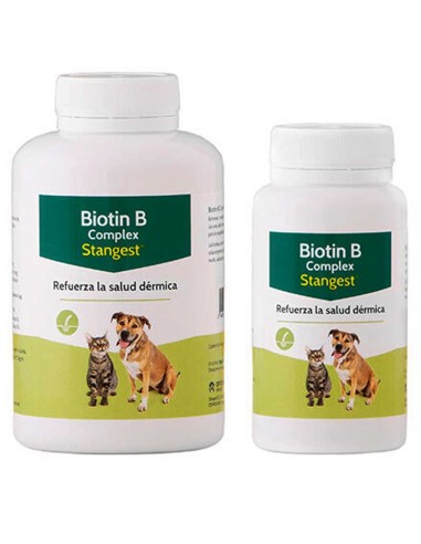 Biotin-B-Complex-Stangest