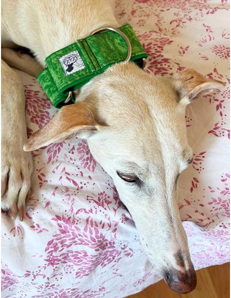 Collar galgo en tela loneta verde hierba