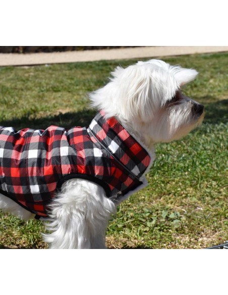 Chaqueta con capucha para perro modelo Picnic