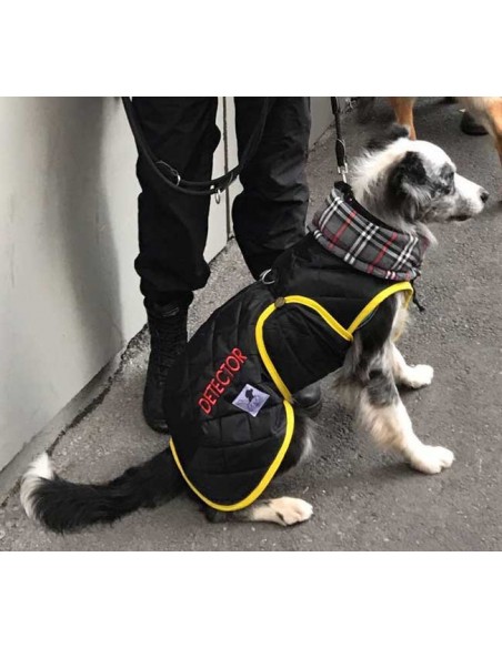 Uniforme impermeable forrado para perros detectores explosivos
