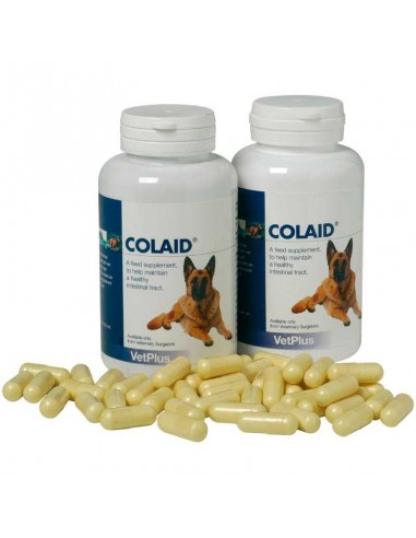 COLAID suplemento nutricional para mantener la salud intestinal del perro